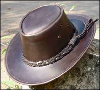 Brown Stirling Hat